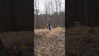 Old Kentucky cemetery in the hills of the mountains