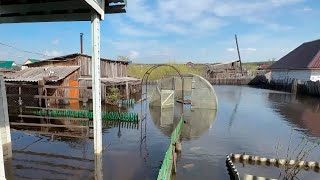 Село Викулово на грани затопления. Уровень воды в реке Ишим поднялся 1152 сантиметров