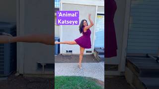 Animál - Katseye 👌 캣츠아이