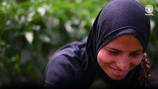 ??(2087) تحسين سبل العيش والتغذية والتمكين للمرأة الريفية وأسرها في المنيا، مصر