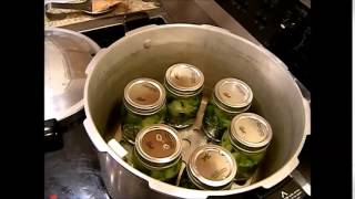 Homestead Series - How to Can Celery