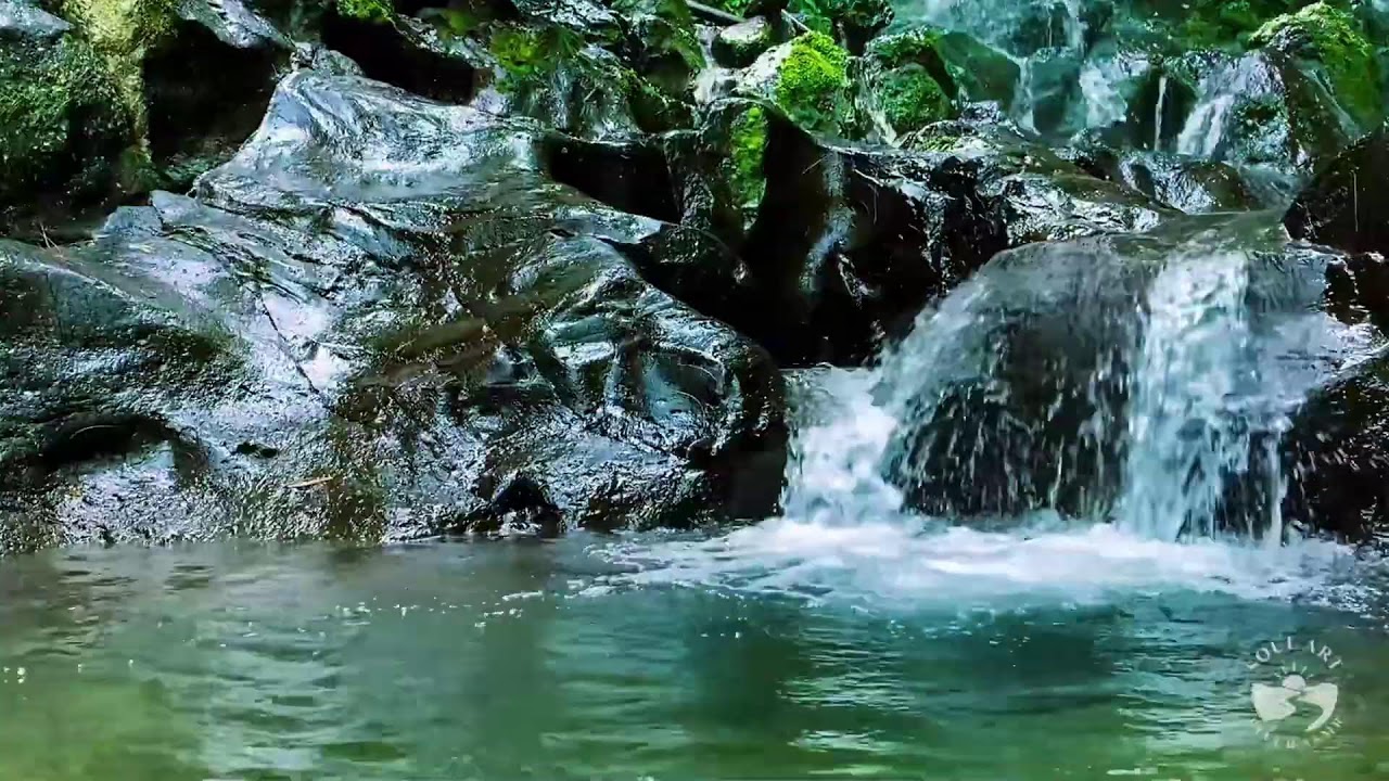 Remote Forest River Flow After Dark | Calm Water Sounds for Deep Night Sleep