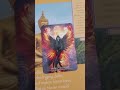 27.9.2025 Wie du dunkle Gedanken loslässt und das Licht zurückfindest. #tarot #orakelkaarten