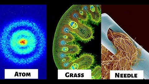 Objects Under An Electron Microscope ! (Part- 1)