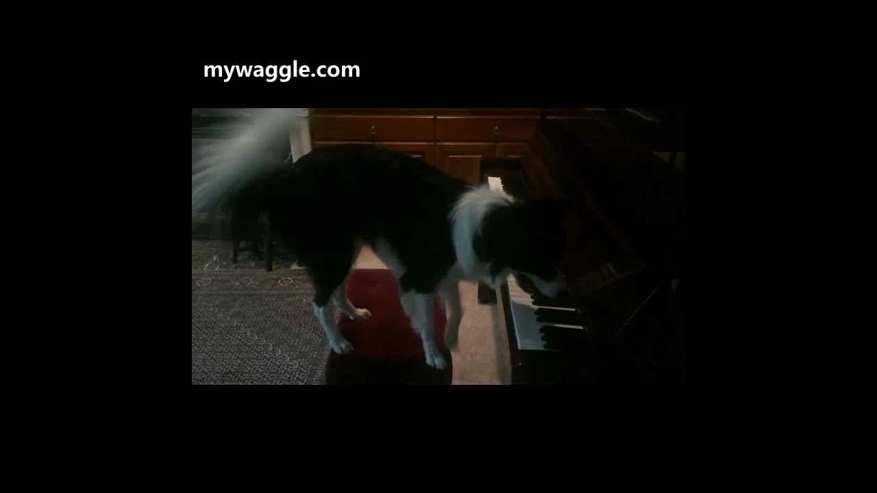 A wanna be piano prodigy