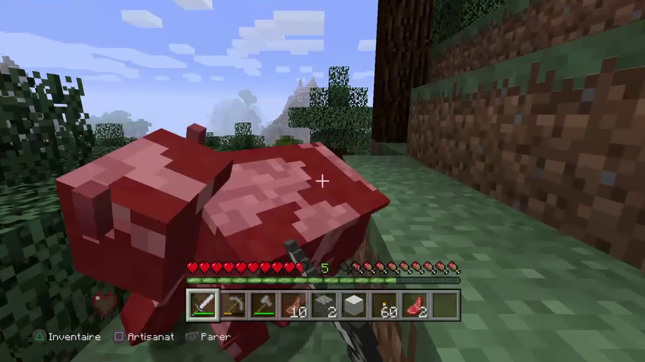 Minecraft : episode 2. deuxieme video - YouTube