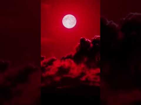 ميسره عودة البلود مون