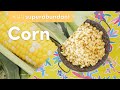 Corn is on the menu more in Oregon | Pacific Northwest food | Superabundant S2 E5
