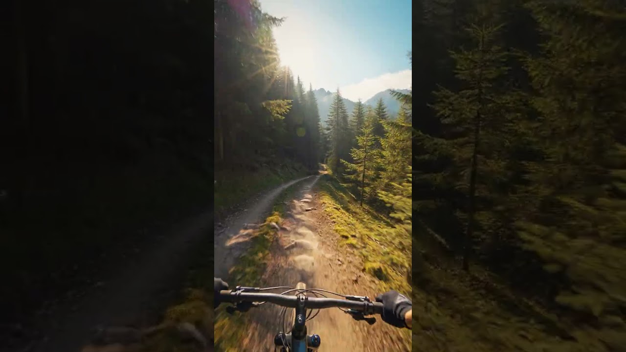 POV: The Most Beautiful Forest Ride Ever 🌲🚴‍♂️#shorts #naturelovers #travel #trulyincredible