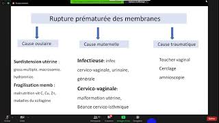 Rupture prématurée des membranes ? meilleure explication ? Dr Mandouri  Gynécologie Obstétrique #ECN