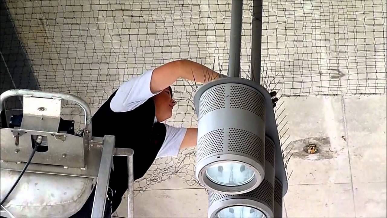 Arbeiten am Taubenabwehrsystem mit Spezialzange