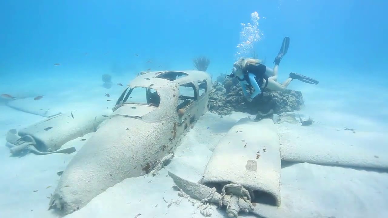 Dive Underwater Hollywood with Stuart Cove's Dive Bahamas