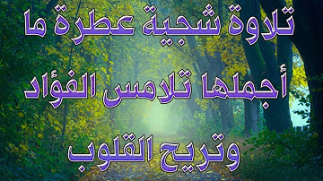 تلاوة شجية عطرة ما أجملها تلامس الفؤاد وتريح القلوب.