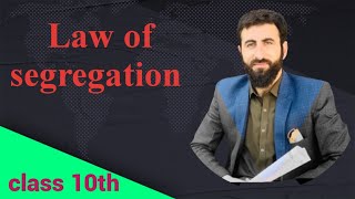 law of segregation 