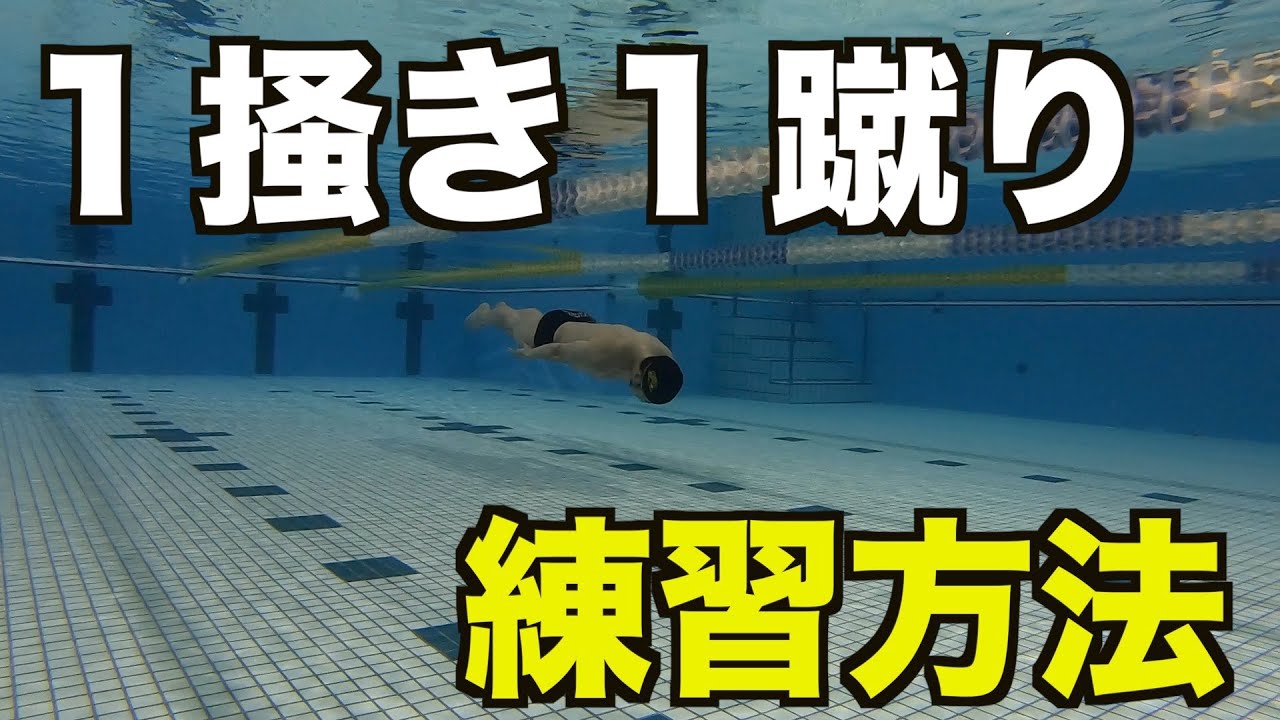 Download 水中動作 一かき一蹴り編