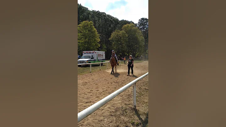 My granddaughter and her mother's horse