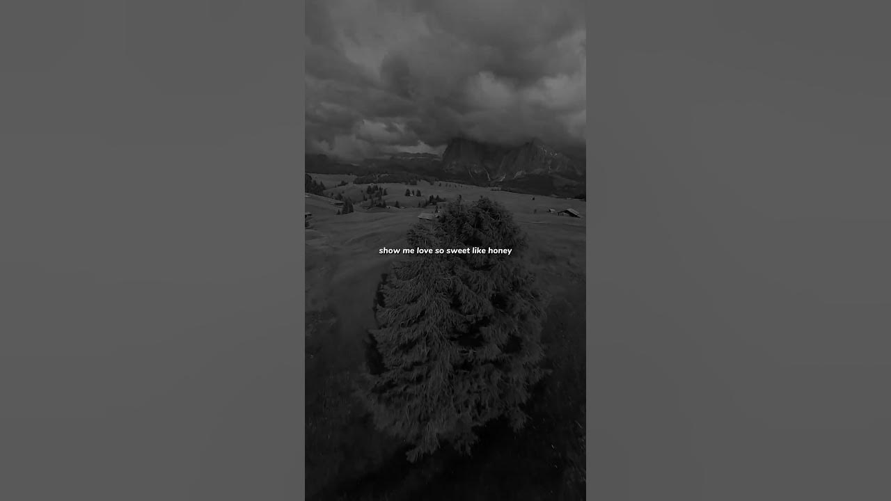 Show Me Love - WizTheMc & bees & honey | Lyrics | Lyrics Edits | Aesthetic Video | Status Video |