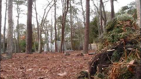 agm vsr10(mp001) hits a penny! long range test