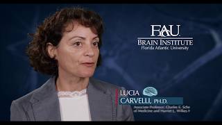 FAU Faculty Vignette – Lucia Carvelli, Ph.D.