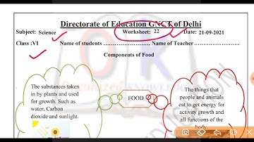 Science worksheet 22 class6 (21/9/21) english medium/worksheet 22 science class6/class6 science