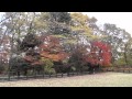 日本青葉山東北大学植物園Tohoku University の動画、YouTube動画。