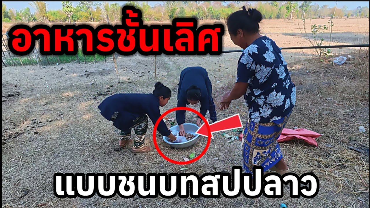 อาหารชั้นเลิศในแบบวิถีชีวิตการกินในชนบทสปป.ลาว