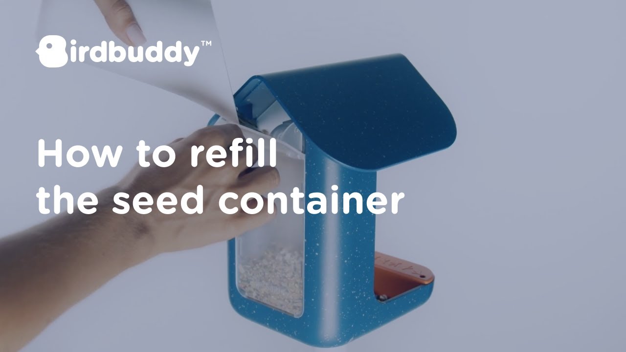 HowTo Fill Up Seed Container Bird Buddy Tutorial YouTube