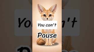 Can You Complete The Fennec Fox? 🦊 👀 #pausechallenge #challenge