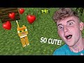 I Found A KITTEN In Minecraft!! (Cutest EVER)