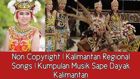 Non Copyright | Kalimantan Regional Songs | Kumpulan Musik Sape Dayak Kalimantan