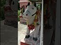 Mini Vlog- Shiv temple🛕🕉️ | #minivlog #travel #shorts #vlog #paridhisharma