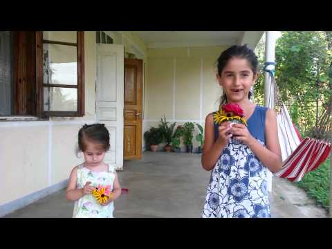 მაიკოს დაბადების დღე 27 08 2014