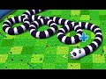 Snake Rivals Unlock Cute Pandaconda Skin / Amazing Gameplay
