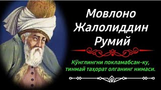 JALOLIDDIN RUMIY hikmatlari. Жалолиддин Румий хикматлари (талабларига биноан)