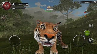 Level 90 Tiger | Wild Animals Online