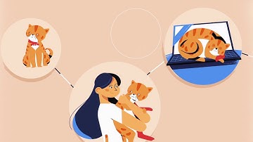 Logotale : 2D Explainer Video | Portfolio 6 |