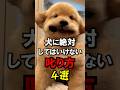 犬にこれする人は飼い主失格