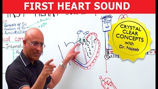 S1 Heart Sounds and Murmurs | First Heart Sound | Dr Najeeb