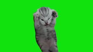 Dramatic Screaming Kitten Cat Meme Green Screen Chroma Key Template