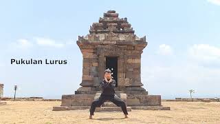 Teknik Dasar Serangan Lengan Dalam Pencak Silat