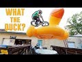 BMX OBSTACLE COURSE CHALLENGE!