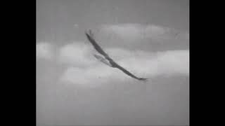 -Test Artist 2-, -Test Artist- - Test Vevo Delivery 2