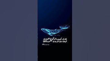 سورة يونس #تلاوة_خاشعة #القران_الكريم #ارح_قلبك #راحة_نفسية