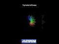Python Visual Output 🤯 | Create Amazing Code Visualization 💻🔥 #Shorts #coding #python #programming