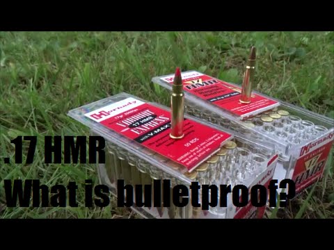 стрельба в америке .17 HMR - What is bulletproof? TEST.