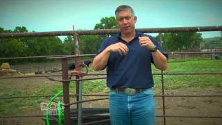 BQA Cattle Comfort