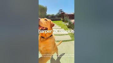 Google Nest Doorbell 3rd Gen (2025 Model) | Smart 2K Video Doorbell with Gemini AI, Night Vision