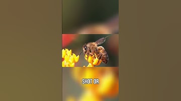 The New ON1 Resize AI 2026 - Enlarge Photos WITHOUT Blurring!  #on1photoraw #photoediting #upscale