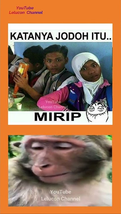 jodoh itu mirip #memelucu #shorts