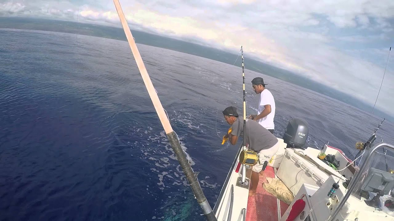 Marlin Jumps In Boat YouTube